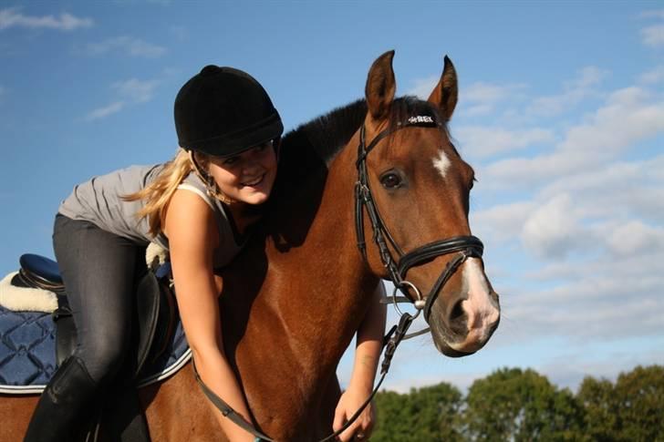 New Forest Rex <3 ( Solgt ) :'( - 1. Min F A N T A S T I S K E pony billede 1