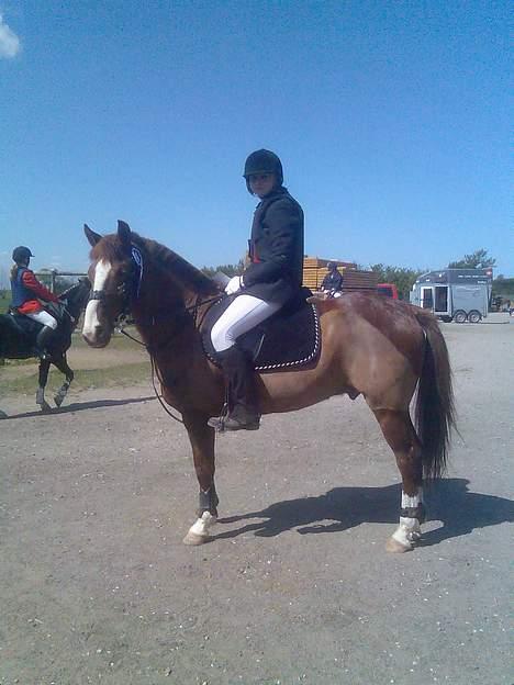 New Forest hunter<33 - mig og hunter efter præmieoverrekkelse en anden plads til klubmesterskabet den 29/4 2007 billede 17