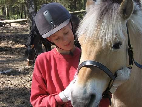 Fjordhest musse  SOLGT :'( - hygge <333 elsker dig musse.. foto : madiie  billede 18