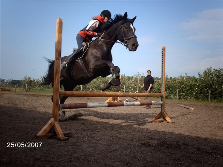 Dansk Varmblod Santos <3  - Santos og jeg . 25. maj 07 billede 1