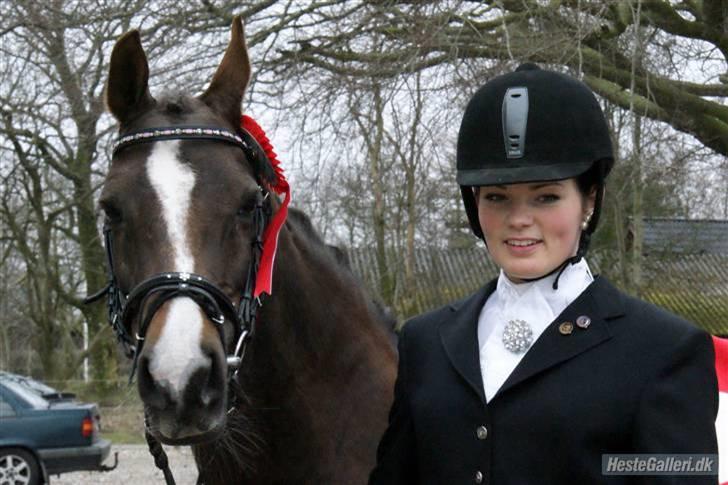 Anden særlig race SILKE - d-stævne i Aars d. 21/3. Jeg er så stolt af hende :).   - foto: Nanna Krüger billede 13