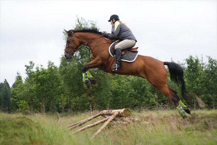 Anden særlig race Nightmare Macohl *RIP* billede 1