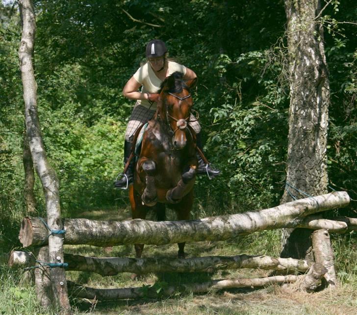 Anden særlig race Nightmare Macohl *RIP* - terræn træning langå 2008 billede 4