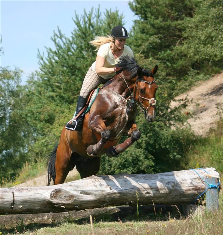 Anden særlig race Nightmare Macohl *RIP* - terræn træning langå billede 5