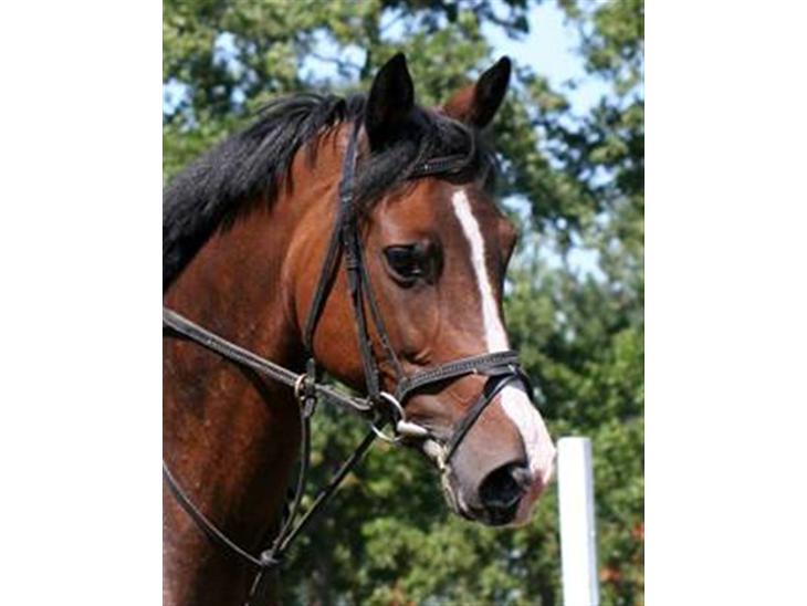 {{currentPhoto.altText}} billede {{currentPhoto.number}}