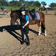 Anden særlig race Rambo (Rabauke)