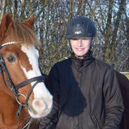 New Forest Kastanjegårdens fromage