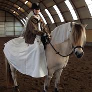 Fjordhest Kiels eau de vie