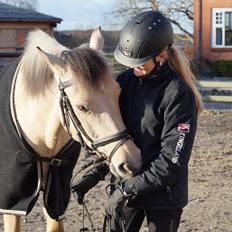Anden særlig race Felix