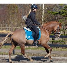 DSP Hoppesgård Stella