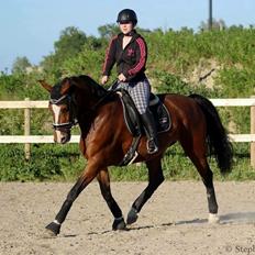 Frederiksborg Miss moonlight 