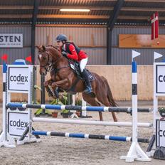 Anden særlig race Top  murdoch