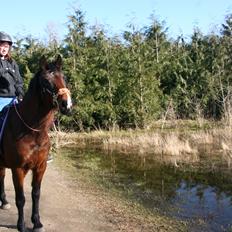 Anden særlig race Trine