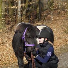 Anden særlig race Charlie