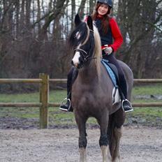 Barockpinto Zoria Moria 