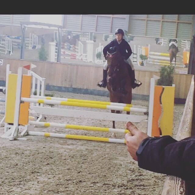 Hollandsk Varmblod Ruby's ursella billede 17