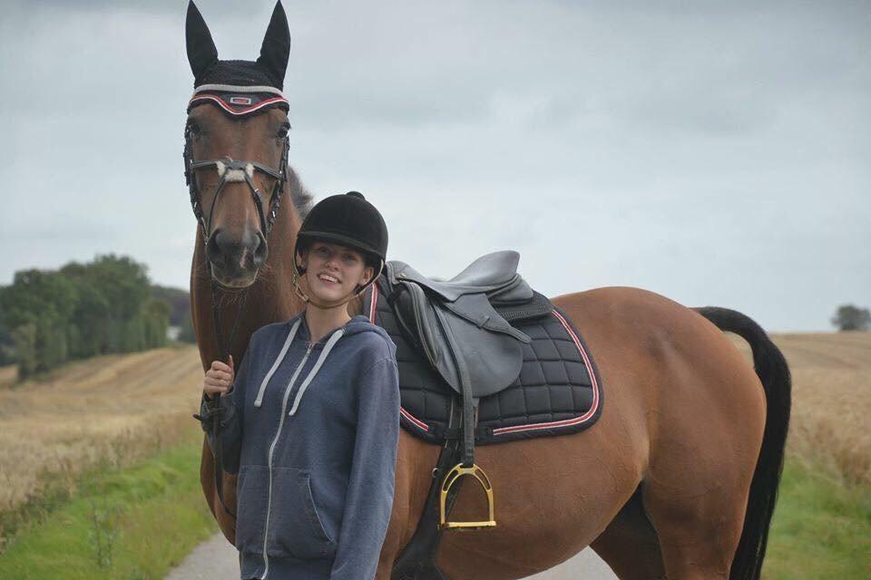 Dansk Varmblod Rikke billede 15