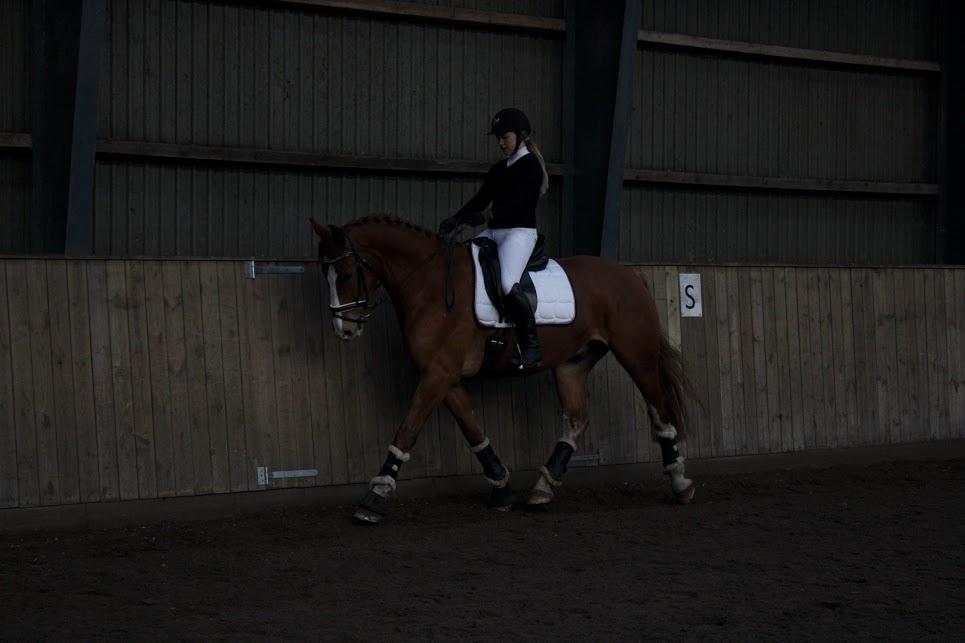 Frederiksborg Elthon Søndergård billede 3