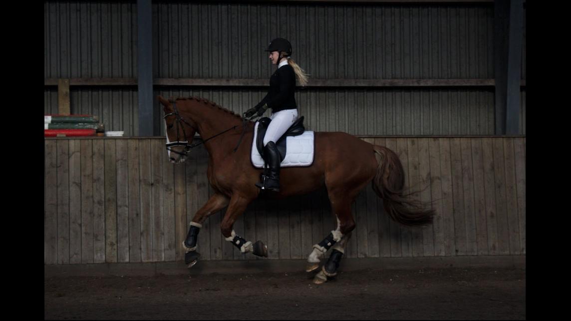 Frederiksborg Elthon Søndergård billede 5