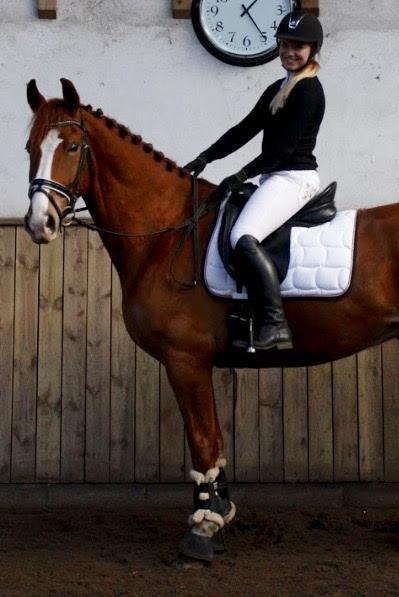 Frederiksborg Elthon Søndergård billede 8