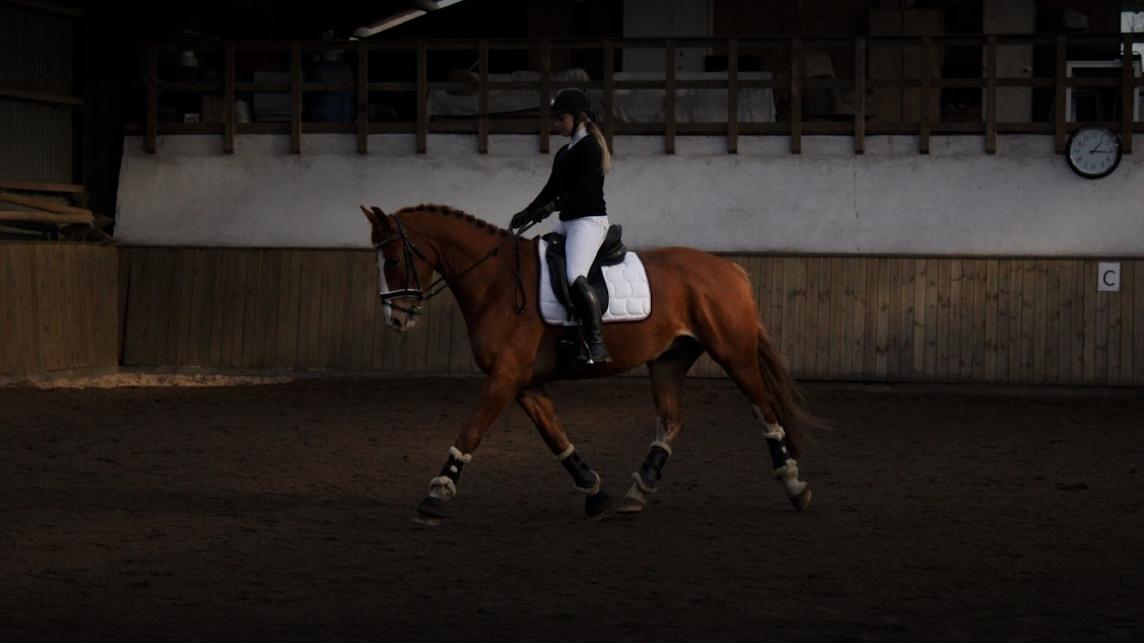 Frederiksborg Elthon Søndergård billede 9