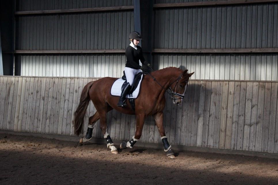 Frederiksborg Elthon Søndergård billede 4