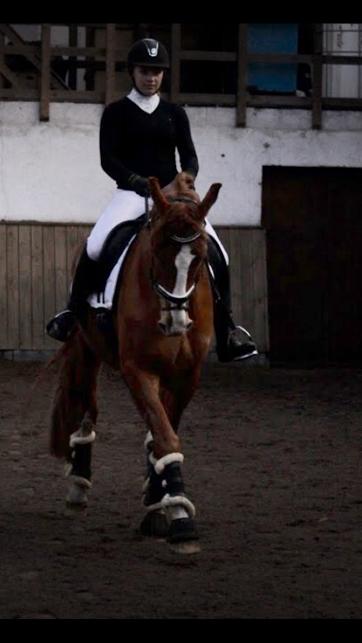 Frederiksborg Elthon Søndergård billede 16