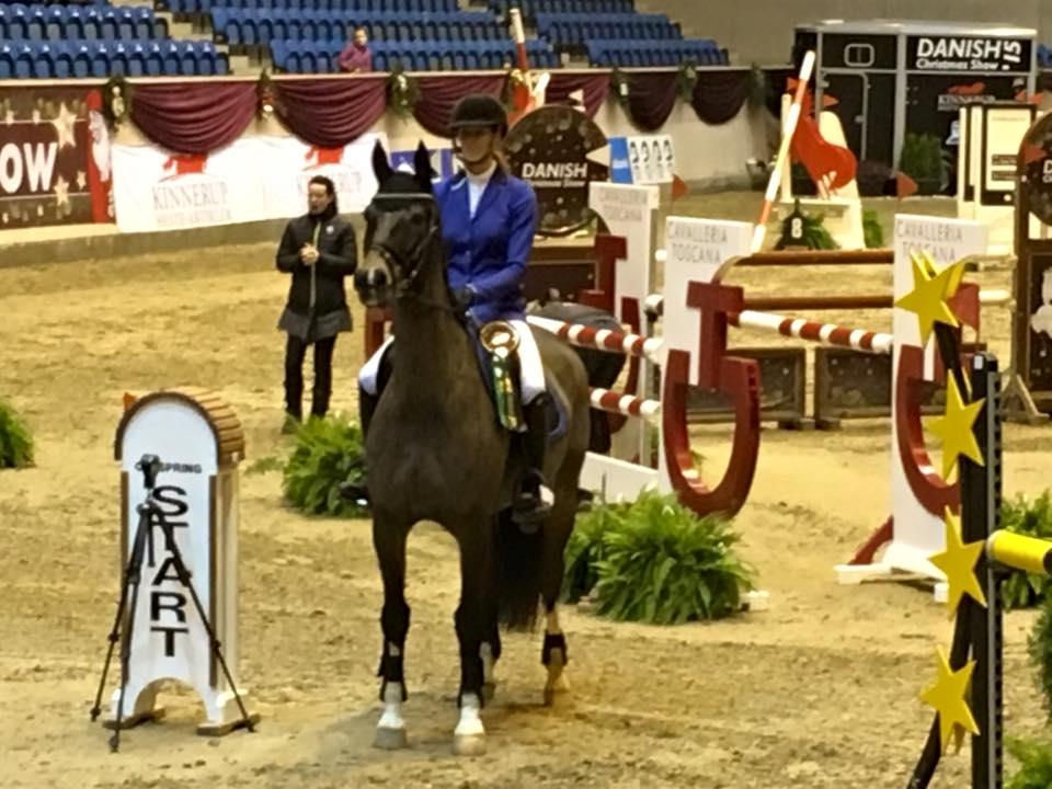 Hollandsk Varmblod Wilddancer - Billede lånt af gamle rytter :)  billede 7