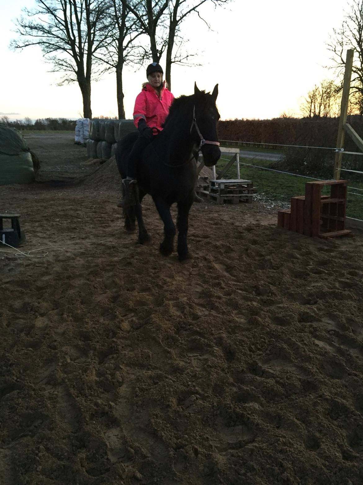 Frieser Sietske billede 24