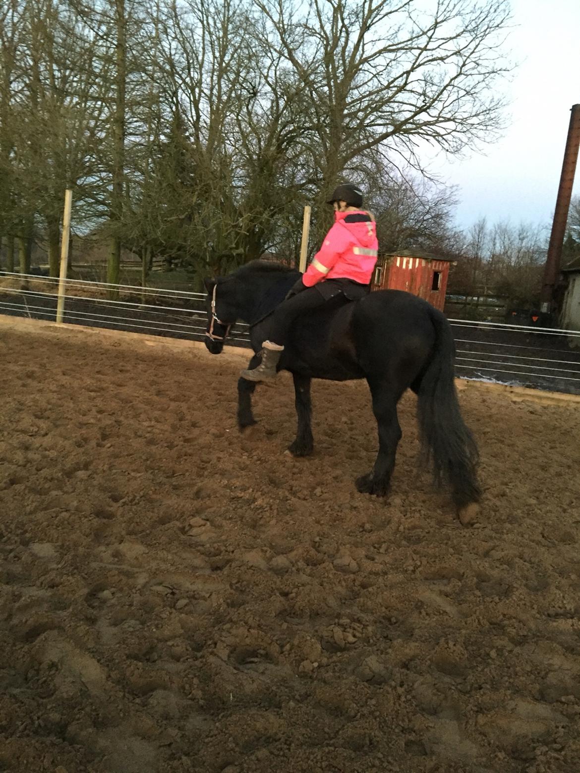 Frieser Sietske billede 23