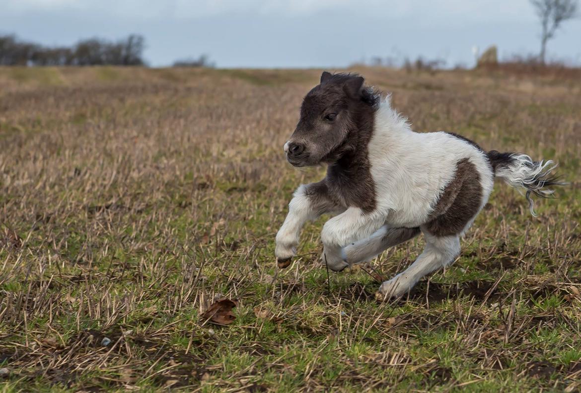 Miniature My Second Chance For Happiness billede 36