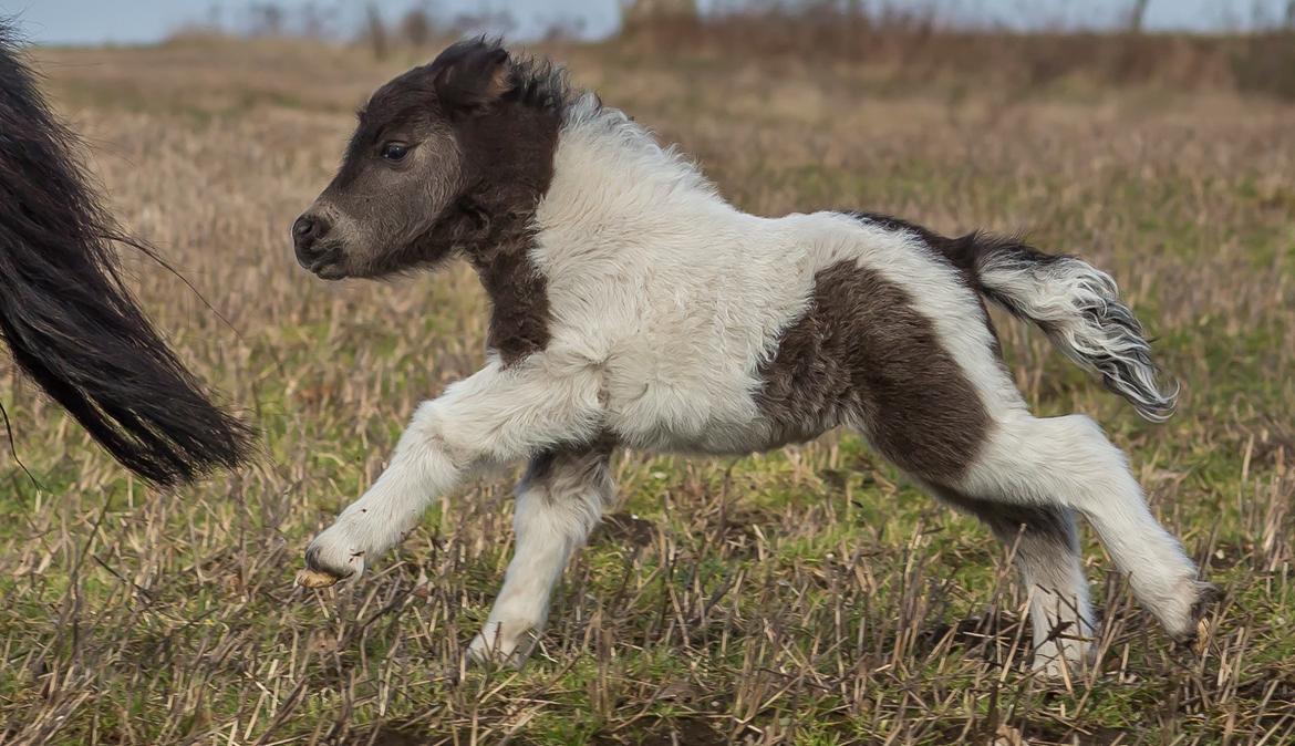 Miniature My Second Chance For Happiness billede 22