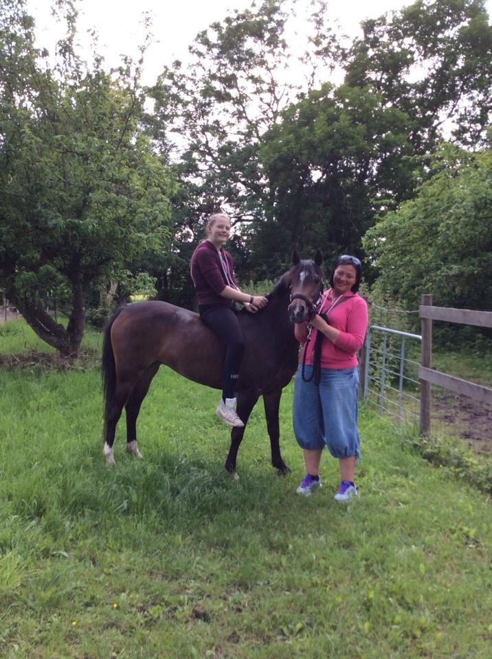 Welsh Partbred (Sec F) Ulrikkaholms Cava [himmelhest] billede 7