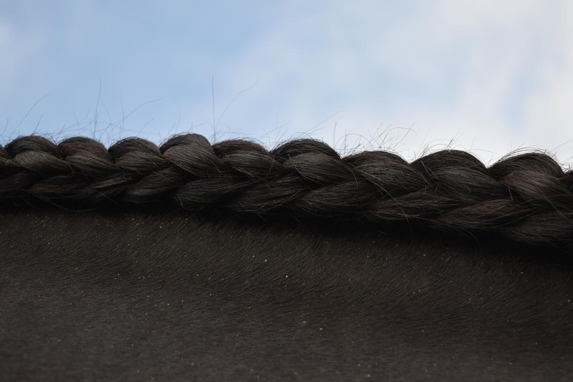 Frieser Von Straus f. Kirkebjerggaard billede 15