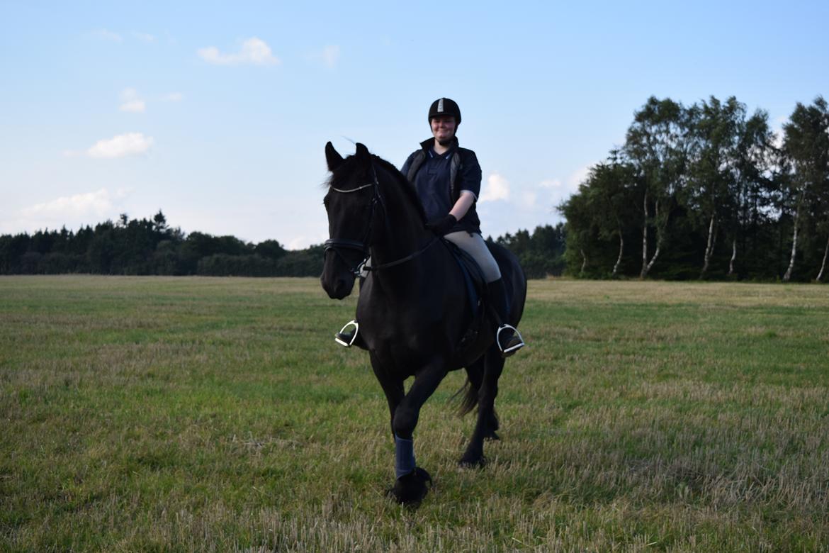 Frieser Von Straus f. Kirkebjerggaard billede 11