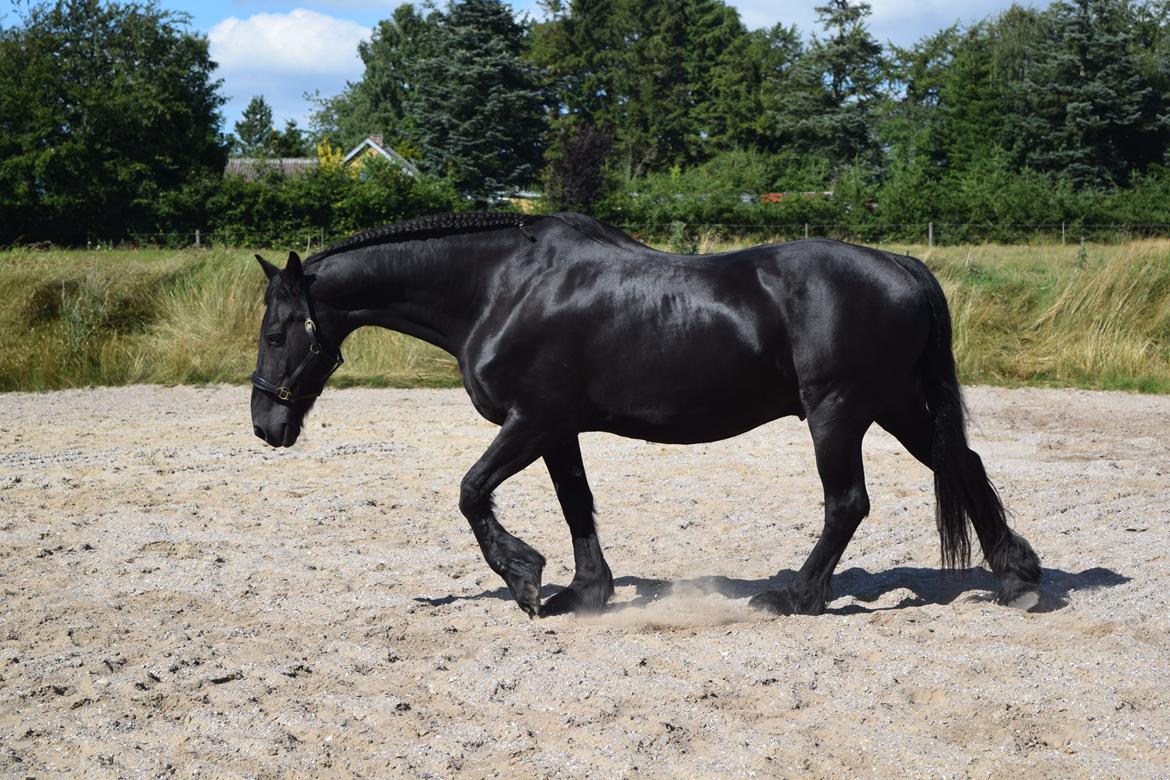 Frieser Von Straus f. Kirkebjerggaard billede 12