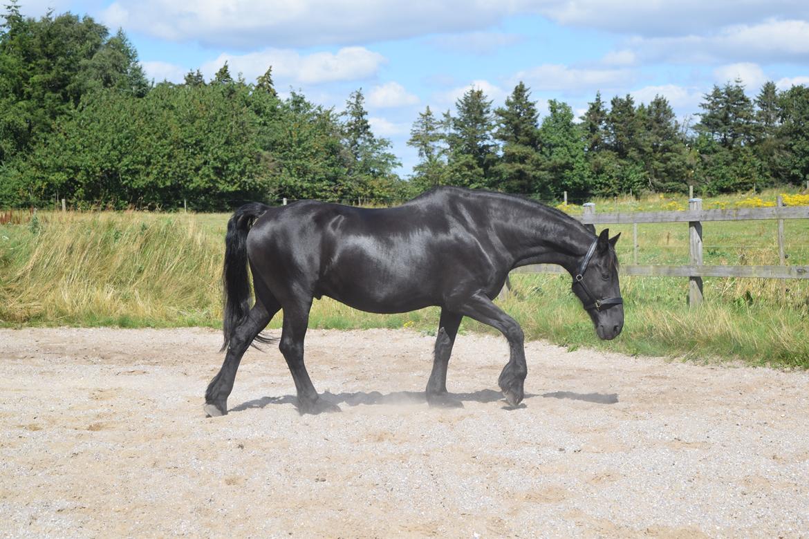 Frieser Von Straus f. Kirkebjerggaard billede 13