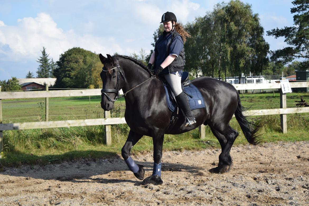 Frieser Von Straus f. Kirkebjerggaard billede 25