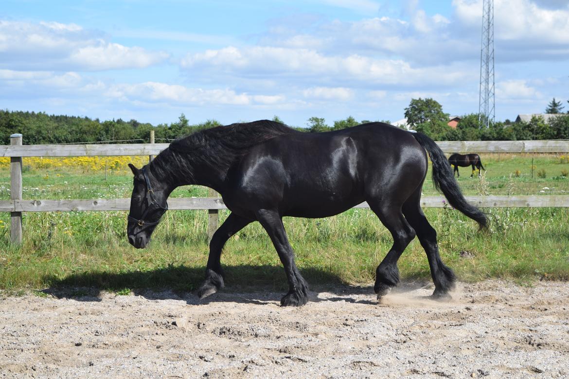 Frieser Von Straus f. Kirkebjerggaard billede 6