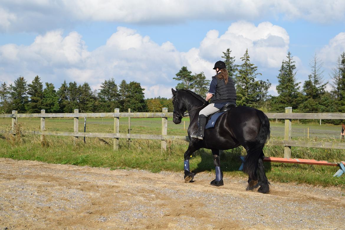 Frieser Von Straus f. Kirkebjerggaard billede 28