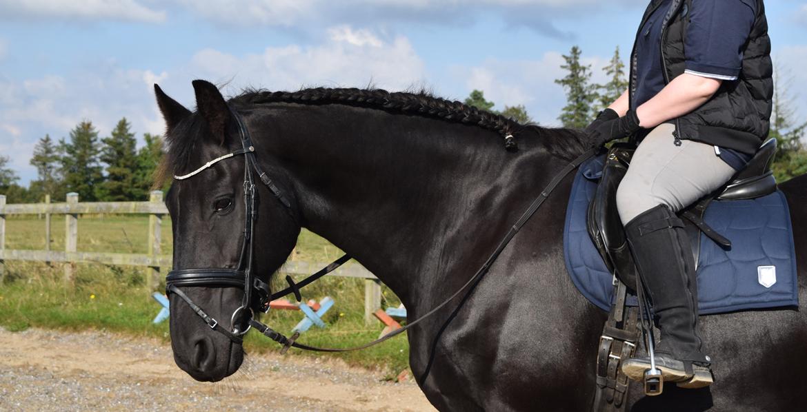 Frieser Von Straus f. Kirkebjerggaard billede 24