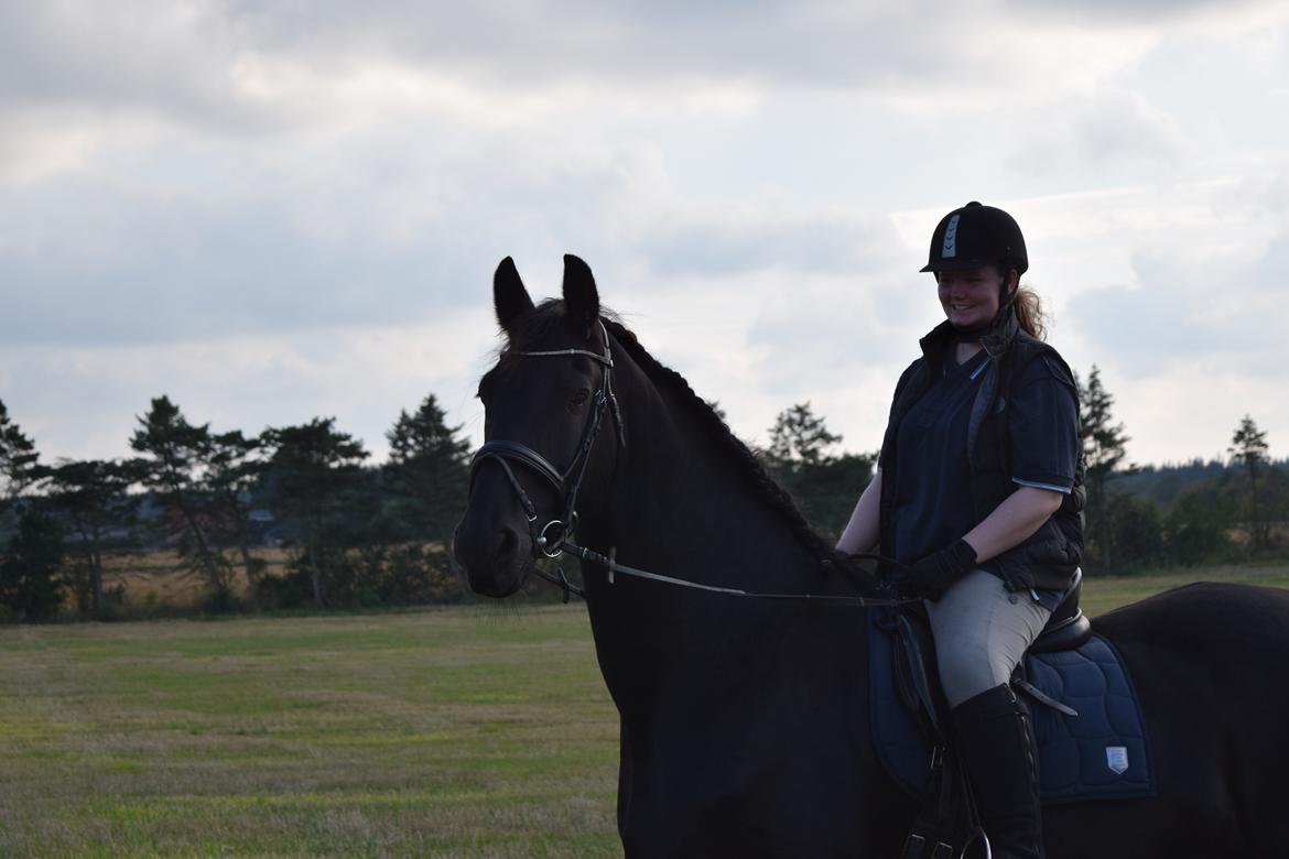 Frieser Von Straus f. Kirkebjerggaard billede 3