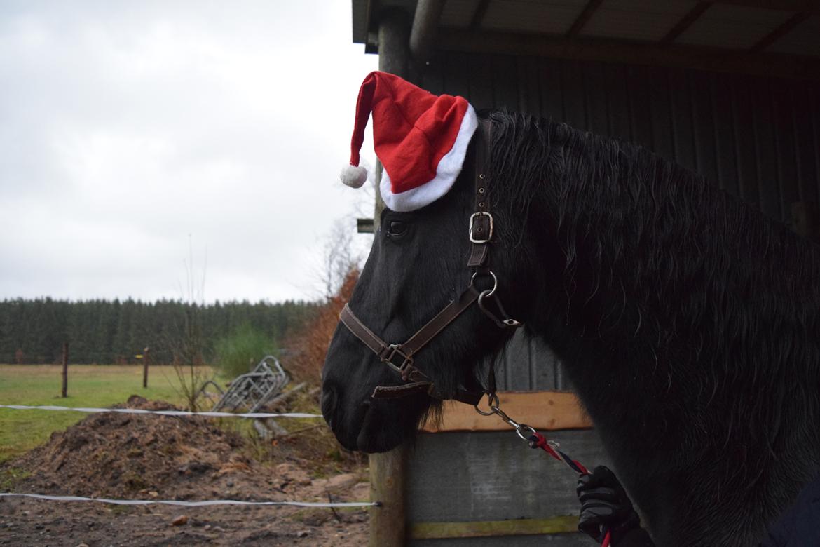 Frieser Von Straus f. Kirkebjerggaard billede 26
