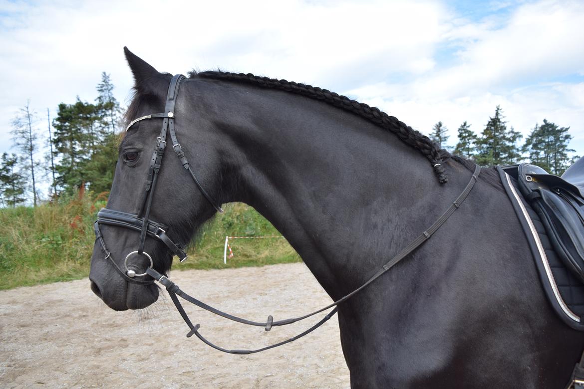 Frieser Von Straus f. Kirkebjerggaard billede 31