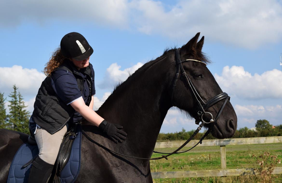 Frieser Von Straus f. Kirkebjerggaard billede 36