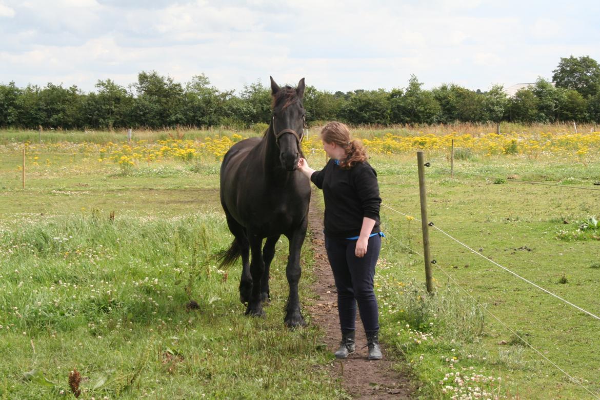 Frieser Von Straus f. Kirkebjerggaard billede 20