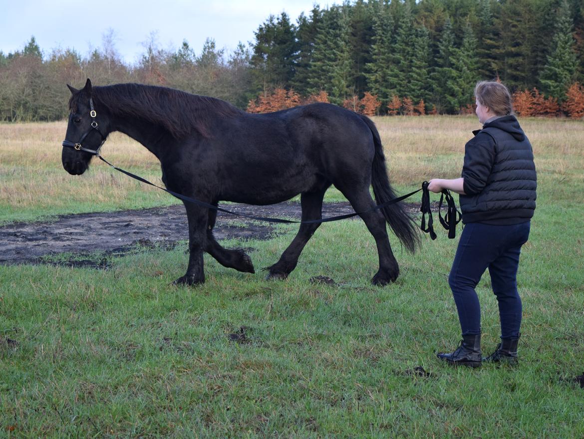 Frieser Von Straus f. Kirkebjerggaard billede 32