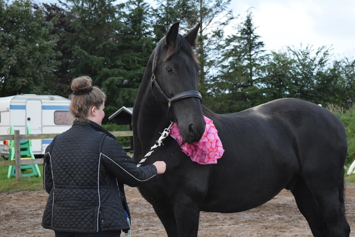 Frieser Von Straus f. Kirkebjerggaard billede 40