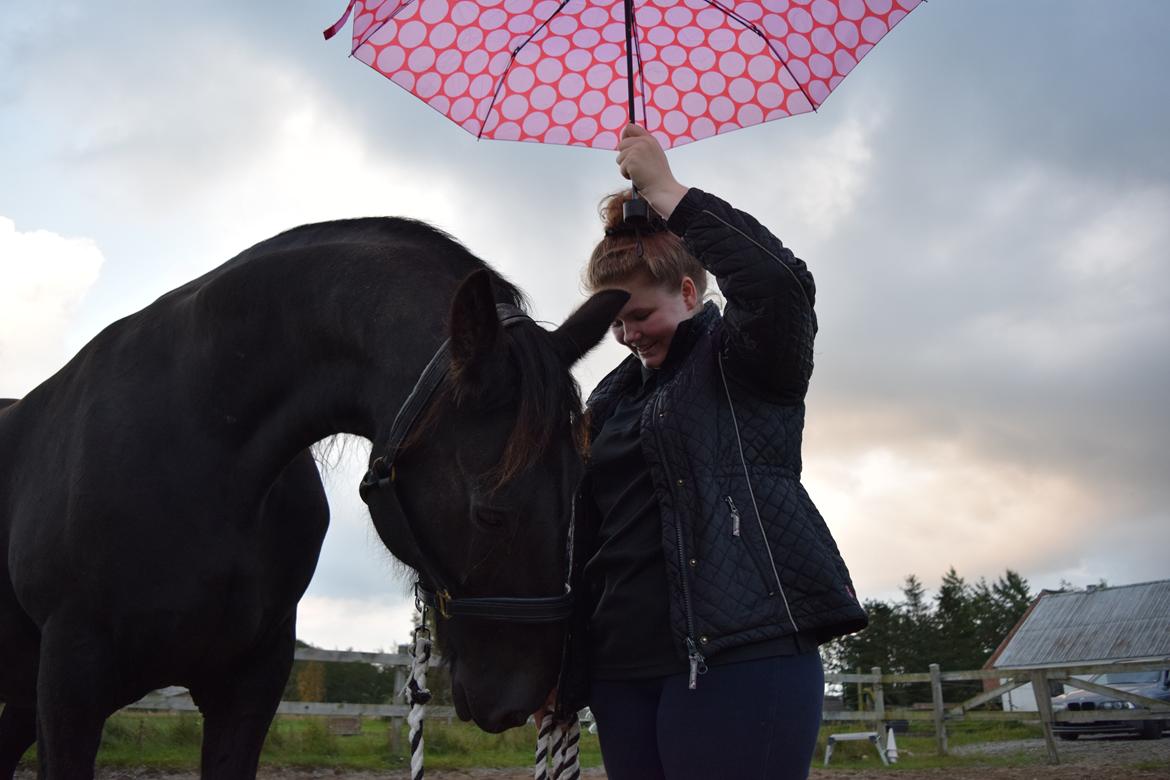 Frieser Von Straus f. Kirkebjerggaard billede 9