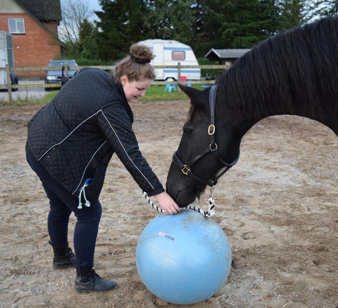 Frieser Von Straus f. Kirkebjerggaard billede 42